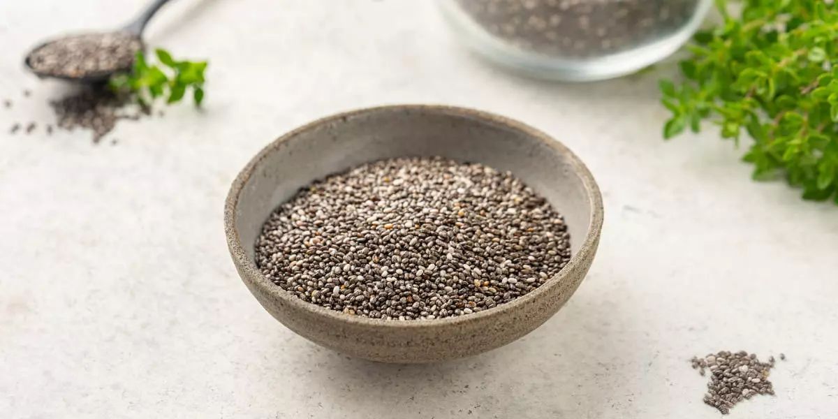 Инструкция: как вырастить коноплю в горшке дома