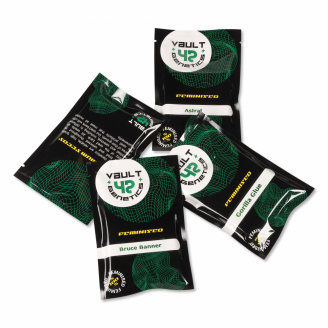 Семена конопли сорта Gelato CBD Fem.